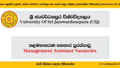 Management Assistant-USJ-www.jobmarket.lk