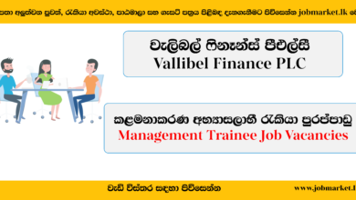 Management Trainee - Vallibel Finance PLC - www.jobmarket.lk