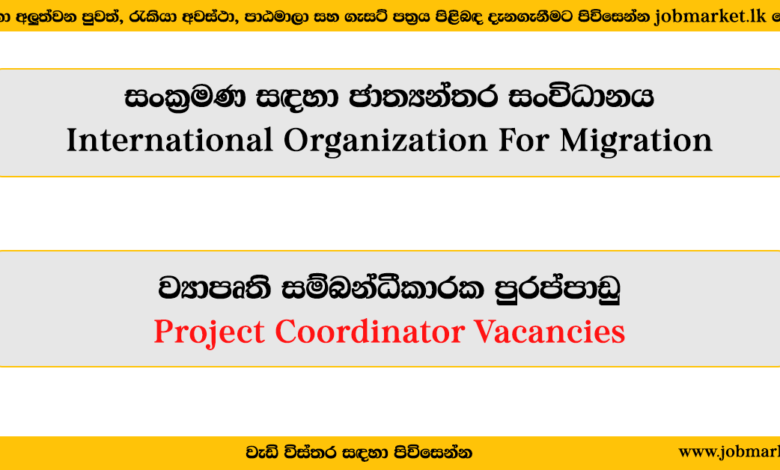 Project Coordinator - International Organization for Migration - www.jobmarket.lk