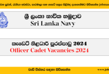 Sri Lanka Navy-Officer Cadet Vacancies 2024