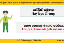 Trainee Associate - Heyleys Group - www.jobmarket.lk