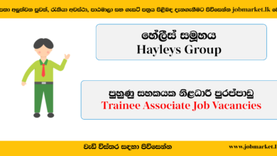 Trainee Associate - Heyleys Group - www.jobmarket.lk