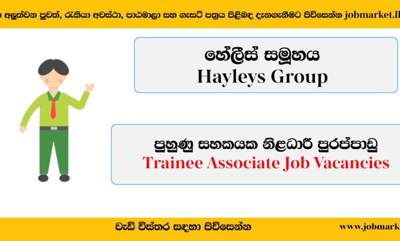 Trainee Associate - Heyleys Group - www.jobmarket.lk