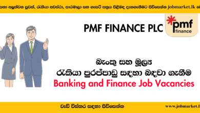 Banking Job vacancies - PMF Finance - www.jobmarket.lk