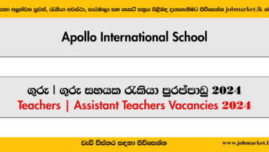 Teachers Vacancies – Apollo International School - www.jobmarket.lk