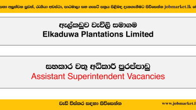 Assistant Superintendent – Elkaduwa Plantations Limited Vacancies 2024 - www.jobmarket.lk