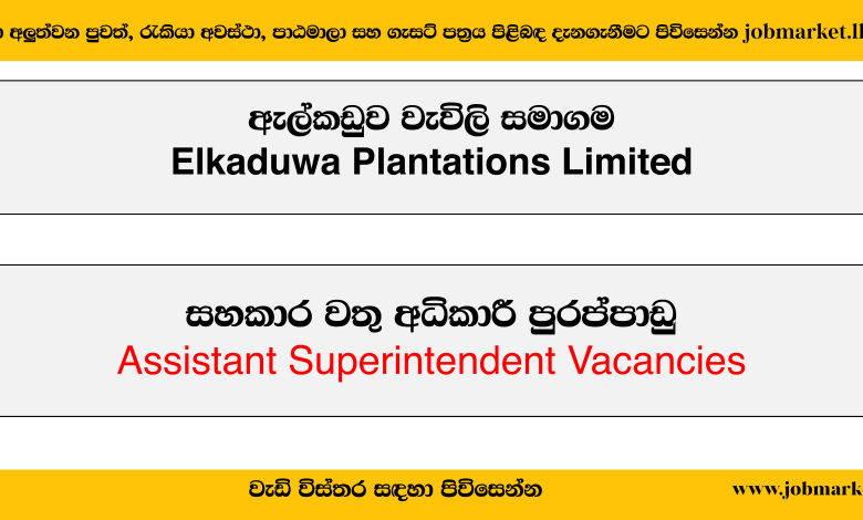 Assistant Superintendent – Elkaduwa Plantations Limited Vacancies 2024 - www.jobmarket.lk