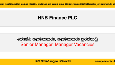 Senior Manager, Manager - HNB Finance PLC Job Vacancies 2024