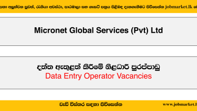 Data Entry Operator - Micronet Global Services (Pvt) Ltd Job Vacancies 2024