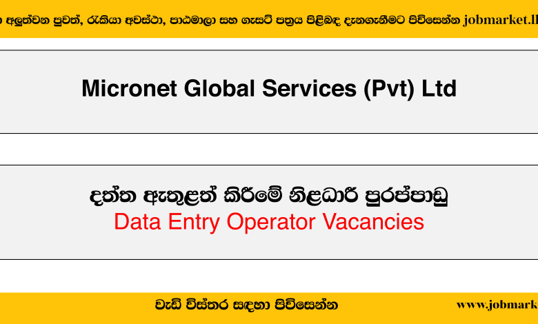 Data Entry Operator - Micronet Global Services (Pvt) Ltd Job Vacancies 2024